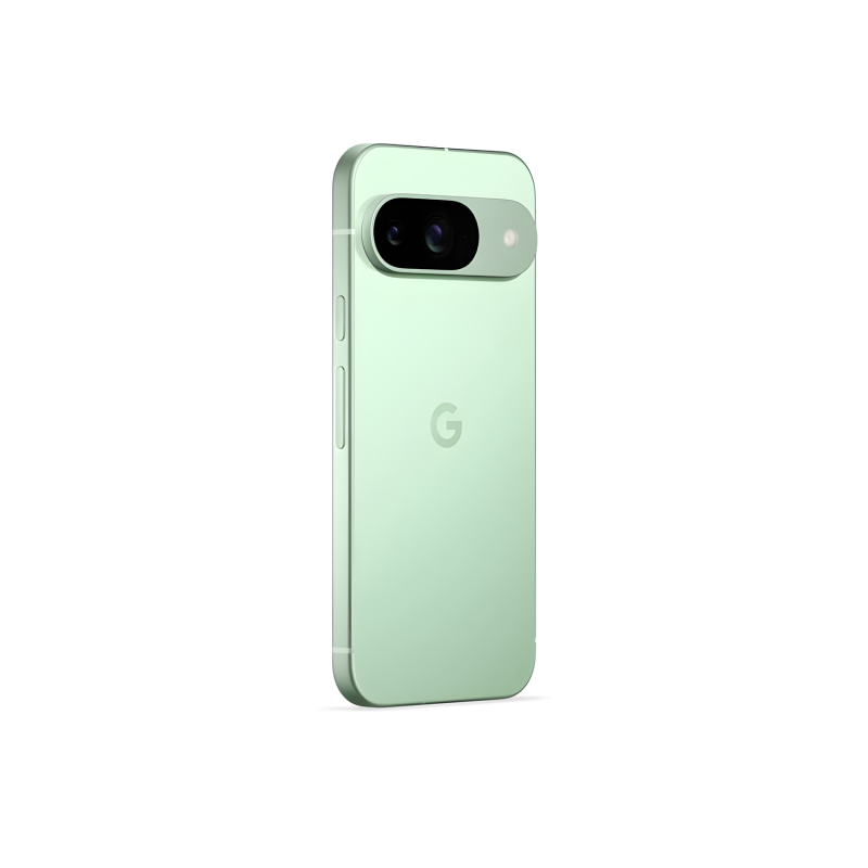 Смартфон Google Pixel 9 12/256 ГБ, цвет: зимняя зелень (Wintergreen)