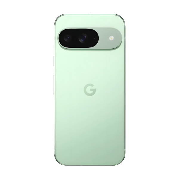 Смартфон Google Pixel 9 12/256 ГБ, цвет: зимняя зелень (Wintergreen)