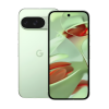 Смартфон Google Pixel 9 12/256 ГБ, цвет: зимняя зелень (Wintergreen)