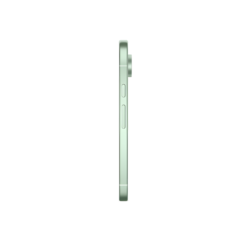 Смартфон Google Pixel 9 12/256 ГБ, цвет: зимняя зелень (Wintergreen)