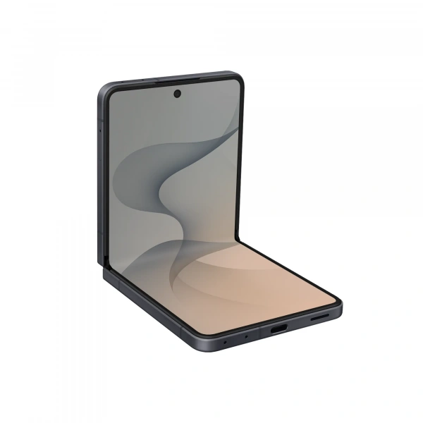 Смартфон Samsung Galaxy Z Flip8 12/256 ГБ, Nano Sim + eSIM, цвет: графитовый (Graphite)