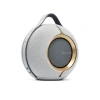 Портативная колонка Devialet Mania Opera de Paris, цвет: золотой (Gold)