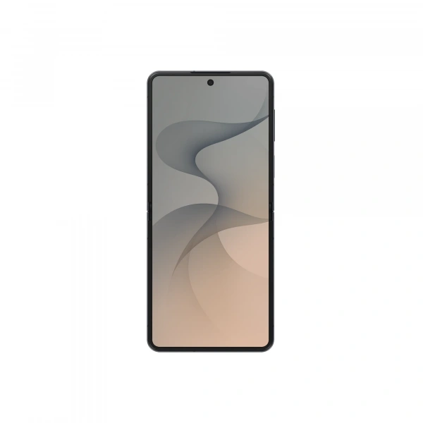 Смартфон Samsung Galaxy Z Flip8 12/256 ГБ, Nano Sim + eSIM, цвет: графитовый (Graphite)
